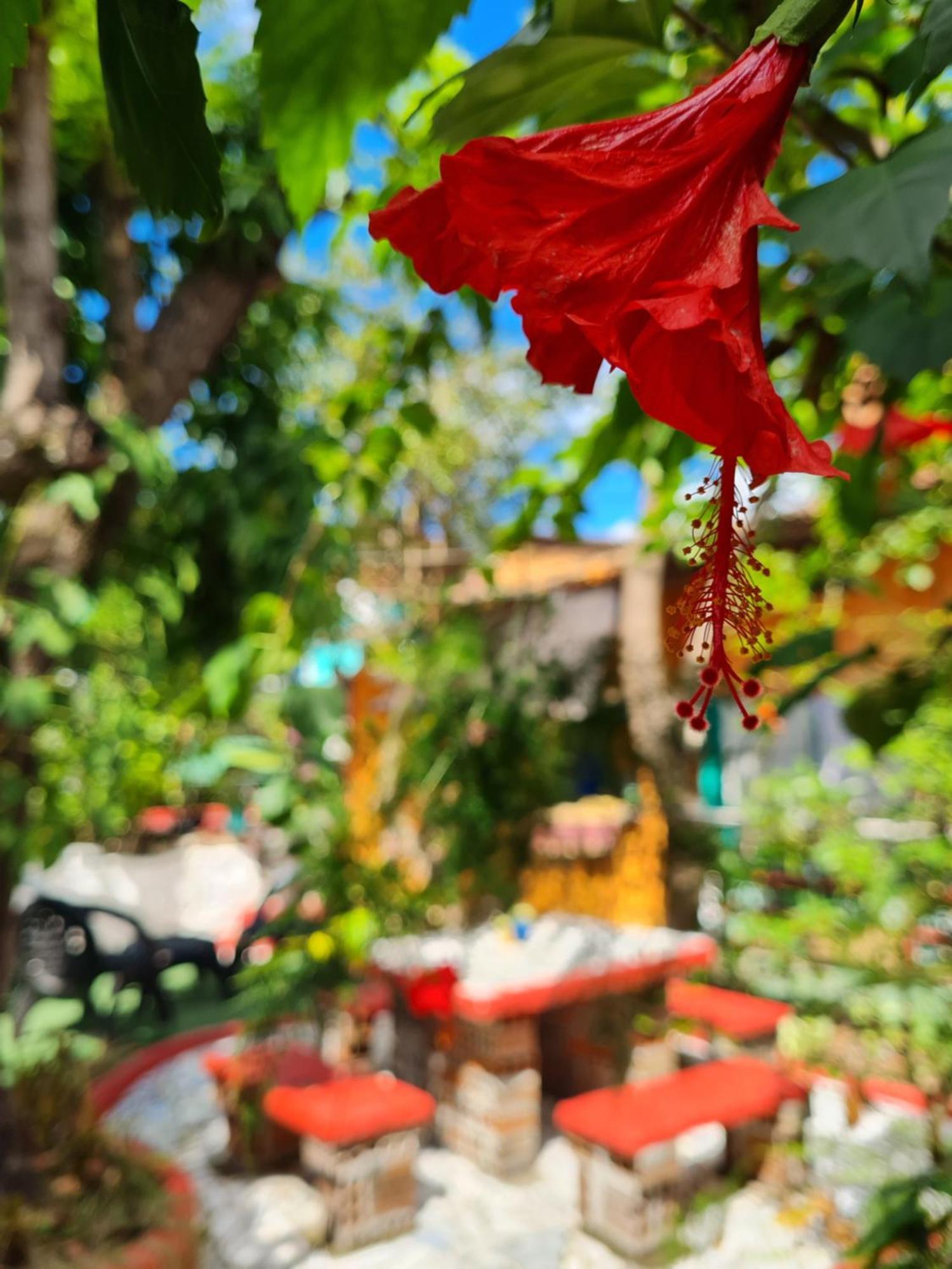 Hi Hostel Chapada Lencois Ngoại thất bức ảnh